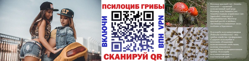 Псилоцибиновые грибы GOLDEN TEACHER  Багратионовск 